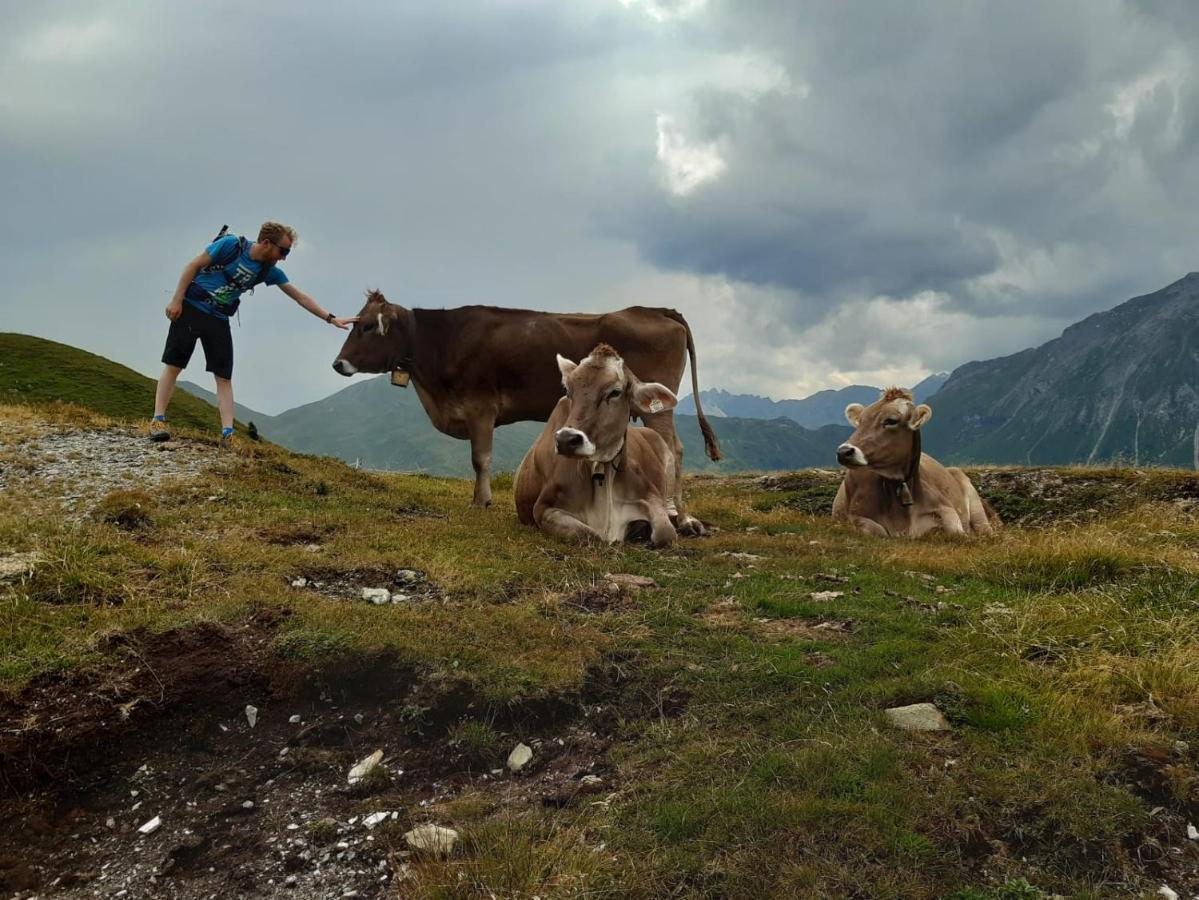 Haus Staud Daire Schmirn Dış mekan fotoğraf